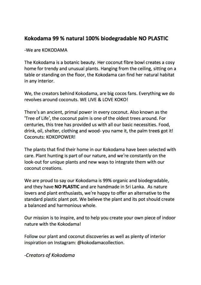 Monstera Siltepecana