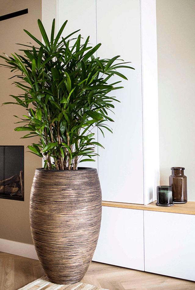 Capi potten gold rib