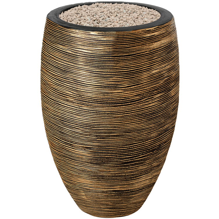 Monstera Siltepecana