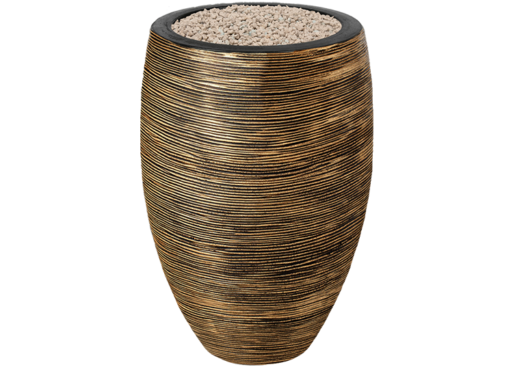 Alocasia Branchifolia Pink Passion blad