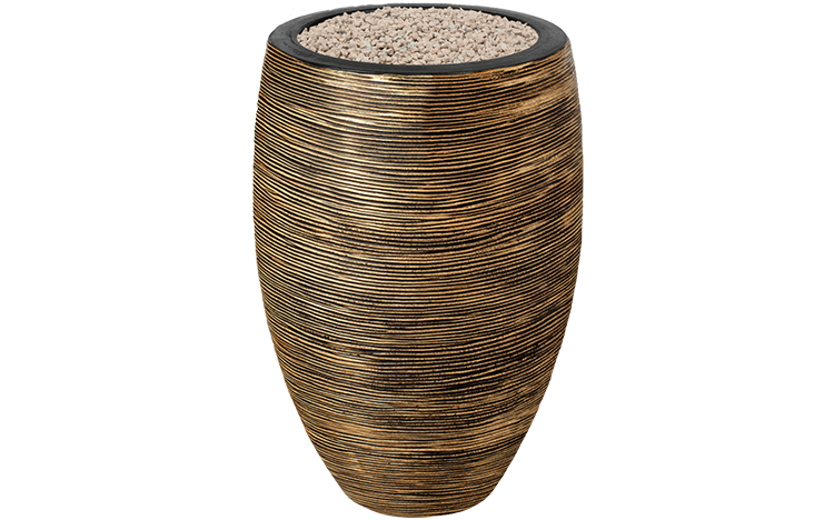 Syngonium Pink Splash