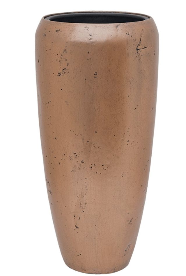 Alocasia Branchifolia Pink Passion blad