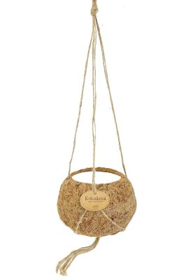 Kokodama kokos hang pot